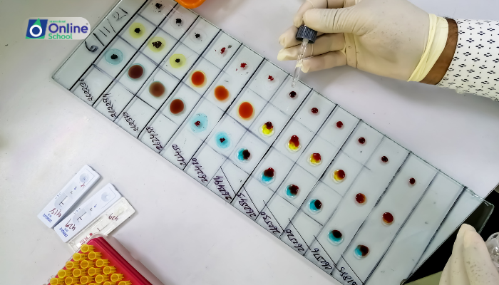 Lesson 08: Co-dominance and Blood Types